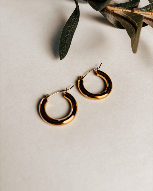 Danna Hoops Earrings