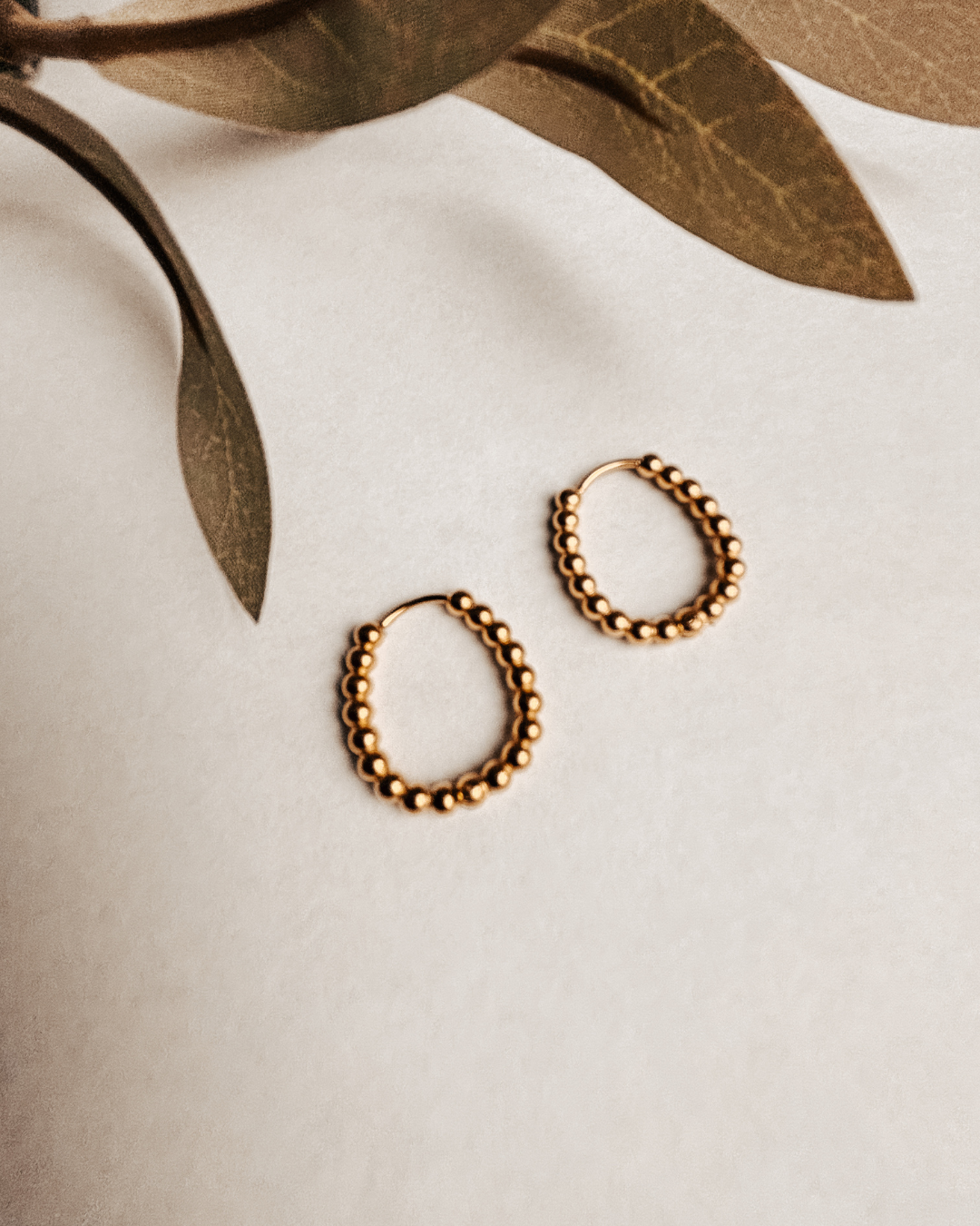 Lula Hoops Dots Gold Earrings